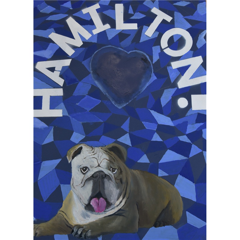 EXAMPLE: Hamilton house pit bull